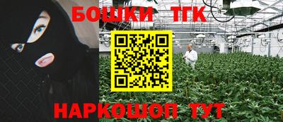 индика Донецк