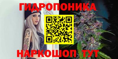 индика Донецк