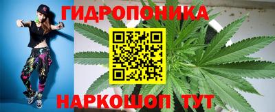 spice Гусиноозёрск